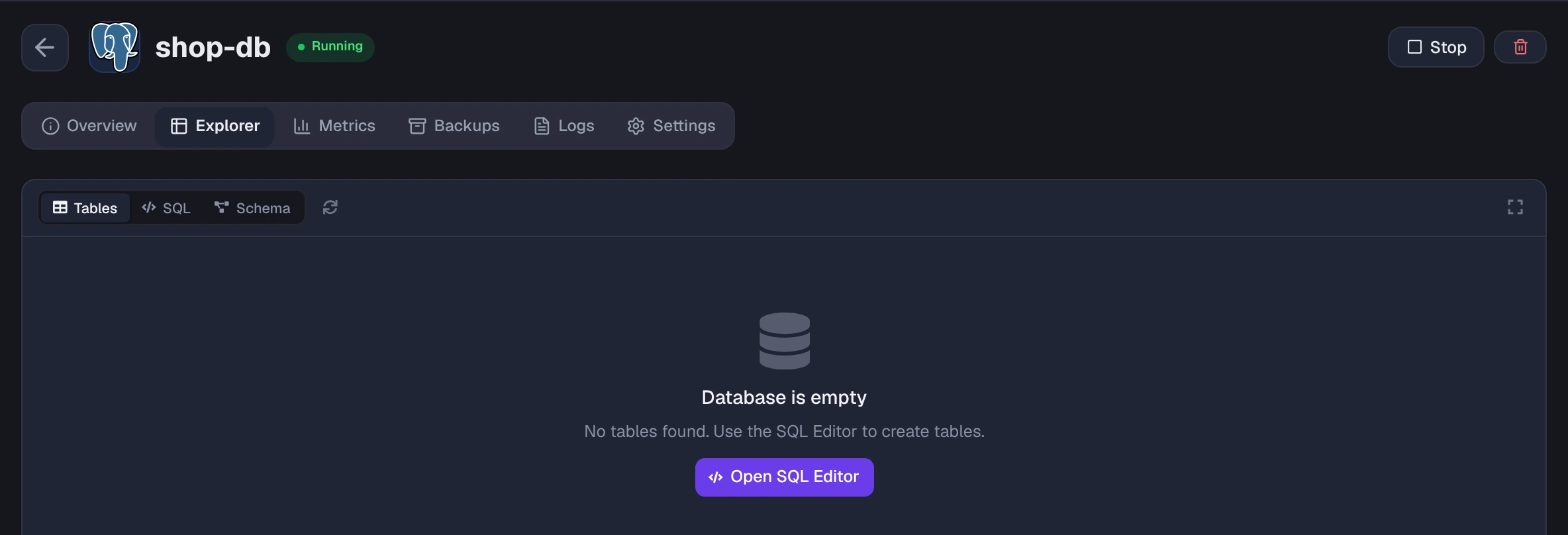 Explorer tab on an empty database with Tables, SQL and Schema views