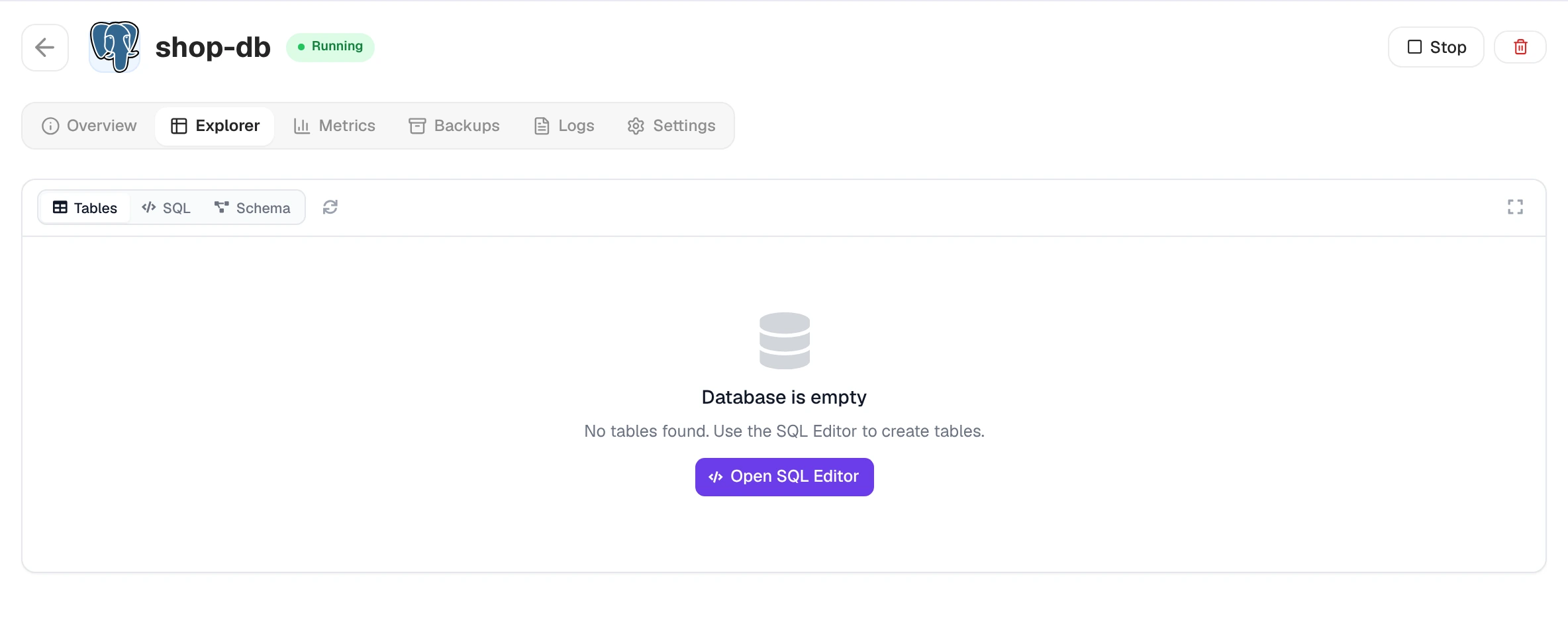 Explorer tab on an empty database with Tables, SQL and Schema views