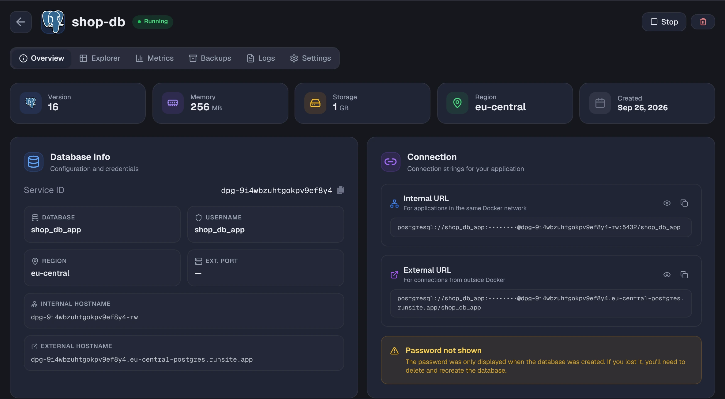 PostgreSQL overview with version, memory, storage and region tiles, database info and masked connection URLs