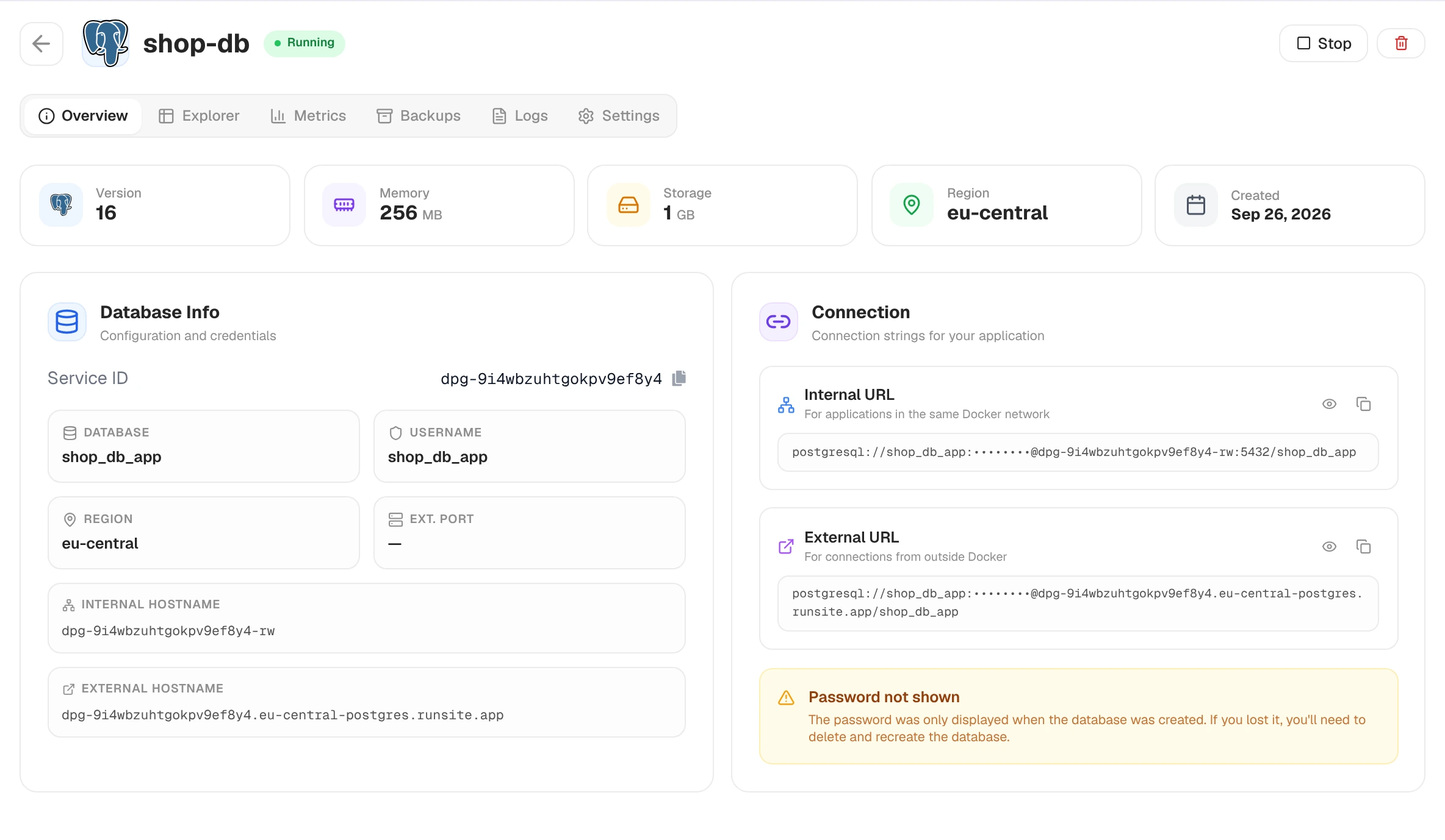 PostgreSQL overview with version, memory, storage and region tiles, database info and masked connection URLs
